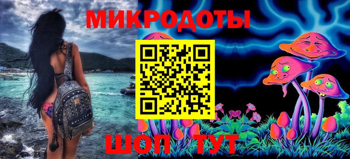 Псилоцибиновые грибы Cubensis Новодвинск