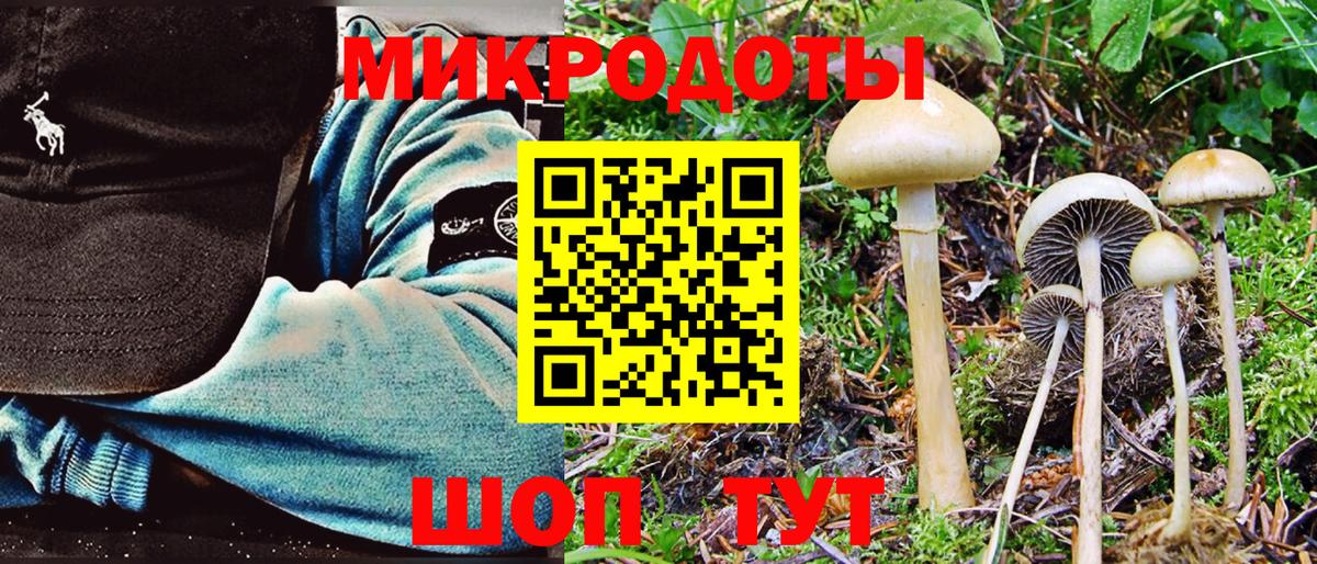 Новодвинск  Псилоцибиновые грибы ЛСД  Вход с VPN 